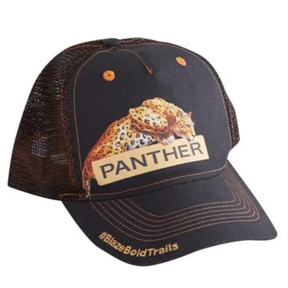 Panther Hat 🐆